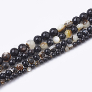 Black Lip Shell Bead Strands, Round, 6mm, Hole: 1mm, about 67pcs/strand, 15.55 inch(SSHEL-Q300-078D)