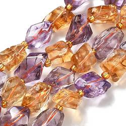 Natural Citrine & Amethyst Beads Strands, with Glass Seed Beads, Nuggets, 12~26x10~16x8~10mm, Hole: 1.4mm, about 24~26pcs/strand, 14.57~15.75''(37~40cm)(G-H074-C01-03)