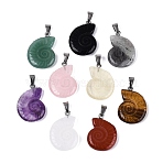 Natural Mixed Stone Pendants, Conch Charms, with Stainless Steel Snap on Bails, Stainless Steel Color, Mixed Dyed and Undyed, 27.5~29.5x20~23x5.5~8.5mm, Hole: 7x4mm(G-Q601-45)