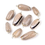 Electroplate Natural Sea Shell Pendants, Shell Shape Charms, with Brass Loops, Golden, Sienna, 28.5~39x12~17x10.5~13.5mm, Hole: 1.8~2mm(SSHEL-T018-04)