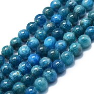 Natural Apatite Beads Strands, Round, 10~11mm, Hole: 1mm, about 37~39pcs/strand, 15.35''~15.75''(39~40cm)(G-K245-A03-05)