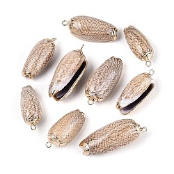 Electroplate Natural Sea Shell Pendants, Shell Shape Charms, with Brass Loops, Golden, Sienna, 28.5~39x12~17x10.5~13.5mm, Hole: 1.8~2mm(SSHEL-T018-04)