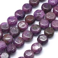 Natural Lepidolite/Purple Mica Stone Beads Strands, Spodumene Beads, Flat Round, 8x4.5mm, Hole: 1mm, about 52pcs/strand, 15.9 inch(40.5cm)(G-F626-03)
