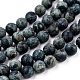 Frosted Natural Kambaba Jasper Beads Strands(G-M272-14-10mm)-3