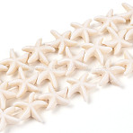 beads brins, turquoise synth&eacute;tique, &eacute;toile de mer / &eacute;toiles de mer, beige, 15x15x5.5 mm, trou: 1.5 mm, environ 36~38 pcs / brin, 14.56&nbsp;pouce~15.15&nbsp;pouce(X-TURQ-S210-1)