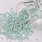 11/0 FGB Grade A Ceylon Glass Seed Beads, Round, Aquamarine, 2.3x1.5mm, Hole: 1mm, about 5300pcs/50g(X-SEED-N001-B-0487)