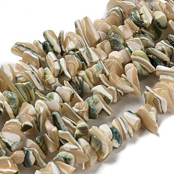 Natural Seashell Shell Beads Strands, Dyed, Nuggets, Wheat, 1~7.5x7~13x4~13mm, Hole: 0.8mm, about 121~124pcs/strand, 14.96~15.35''(38~39cm)(SSHEL-H072-07)