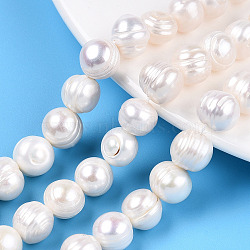 Natural Cultured Freshwater Pearl Beads Strands, Potato, Seashell Color, 10~11x8.5~13.5mm, Hole: 0.7mm, about 18pcs/strand, 7.09~7.28 inch(18~18.5cm)(PEAR-N013-10D)