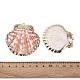 Electroplate Natural Sea Shell Pendants(SSHEL-T018-17)-3