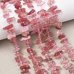 Natural Strawberry Quartz Beads Strands, Chip, Grade A, with Seed Beads, 6~22x3~8x1~8mm, Hole: 1mm, about 66~78pcs/strand, 15.55''(39.5cm)(G-F821-D02-01)