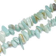 Natural Amazonite Beads Strands, Chip, 10~30x5~10x3~9mm, Hole: 1mm, about 65~85pcs/strand, 14.9 inch(G-S312-32)