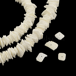 Chips Natural Dyed Seashell Beads Strands, Shell Shards, White, 2~6x5~16x2~5mm, Hole: 1mm, about 168pcs/strand, 16.1 inch(X-SSHEL-Q295-22A)