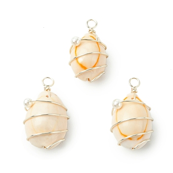 Natural Cowrie Shell Copper Wire Wrapped Pendants, Shell Shape Charms with Round Shell Pearl, Silver, 23.5~25.5x12~14x10~11mm, Hole: 3mm