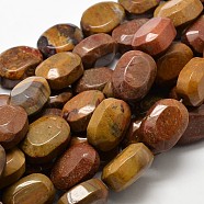 Natural Petrified Wood Bead Strands, Oval, Faceted, 20x15x10mm, Hole: 1mm, about 20pcs/strand, 15.74 inch(G-L294-04)