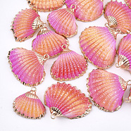 Spray Paint & Electroplate Sea Shell Pendants, with Iron Findings, Light Gold, Colorful, 19~28x20~30x7~11mm, Hole: 2mm(SSHEL-S262-07D)