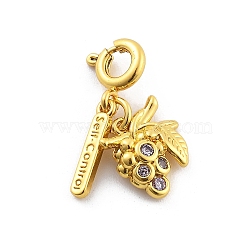 Brass Rhinestone Fruits Pendant Decoration, Rectangle with Word Self Control and Spring Ring Clasps Charms Ornaments, Grape, 20mm(HJEW-P020-01F-G)