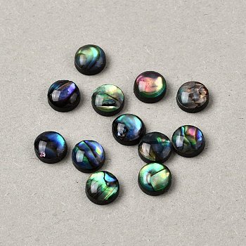 Natural Abalone Shell/Paua Shell Cabochons with Enamel, Half Round/Dome, Colorful, 6x2.5mm