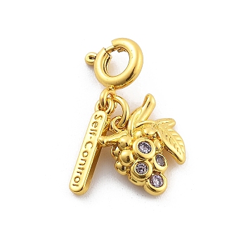 Brass Rhinestone Fruits Pendant Decoration, Rectangle with Word Self Control and Spring Ring Clasps Charms Ornaments, Grape, 20mm