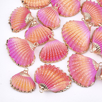 Spray Paint & Electroplate Sea Shell Pendants, with Iron Findings, Light Gold, Colorful, 19~28x20~30x7~11mm, Hole: 2mm