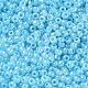 Perles de rocaille de verre(SEED-A011-3mm-143)-3