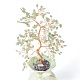 Natural Green Aventurine Chips with Brass Wrapped Wire Money Tree on Ceramic Vase Display Decorations(DJEW-B007-01E)-3