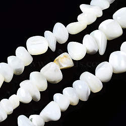 Natural Trochid Shell/Trochus Shell Beads Strands, Bleach, Nuggets Chips, Seashell Color, 3.5~13x6~12x3~8mm, Hole: 0.9mm, about 68~73pcs/strand, 15.35 inch~15.94 inch(39~40.5cm)(SSHEL-N034-78-A01)