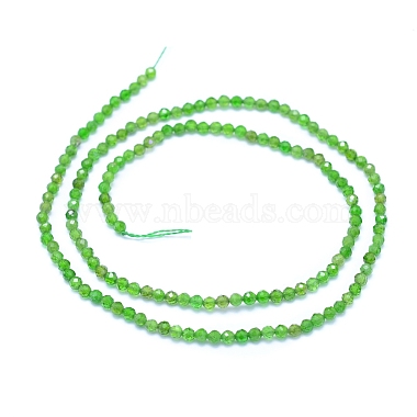 Natural Diopsidel Beads Strands(G-I279-E01-01)-2