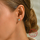 925 Sterling Silver Stud Earring(SR3482)-1