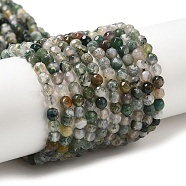 Natural Tree Agate Beads Strands, Faceted, Round, Sea Green, 4.5mm, Hole: 0.8mm, about 93~102pcs/strand, 14.37~14.76''(36.5~37.5cm)(G-H302-A03-02)