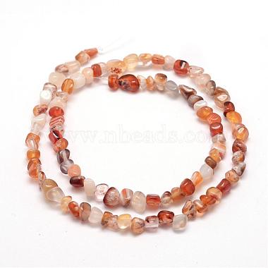 Dyed Natural Carnelian Beads Strands(G-F465-22)-2