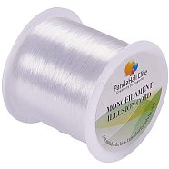 Nylon Wire, Clear, 0.25mm, about 100m/roll(NWIR-PH0001-14-0.25mm)
