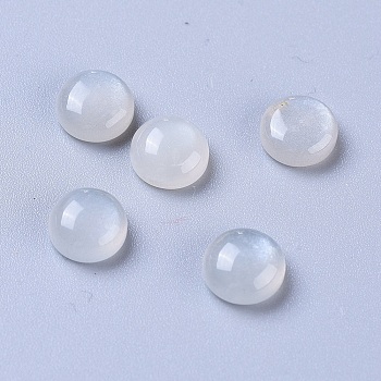 Natural Grey Moonstone Cabochons, Half Round/Dome, 6x3mm