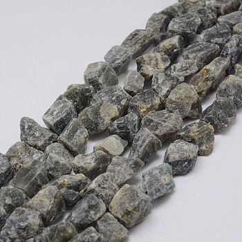 Raw Rough Natural Labradorite Beads Strands, Nuggets, 15~20x14~18x10~14mm, Hole: 1mm, about 25pcs/strand, 14.9 inch(38cm)