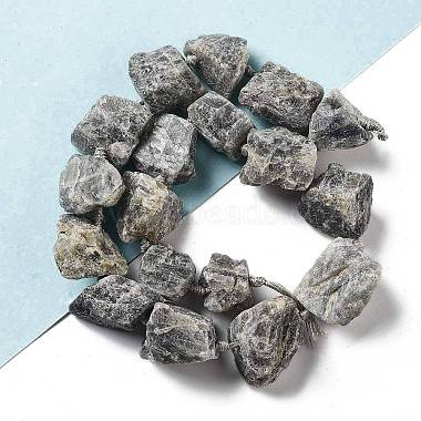 Raw Rough Natural Labradorite Beads Strands(G-J388-A07-01)-2