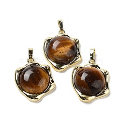 Natural Tiger Eye Pendants, Rack Plating Golden Plated Brass Nuggets Charms, Cadmium Free & Lead Free, 23.5x19x6.5mm, Hole: 2.5x5.5mm(G-G069-01G-02)