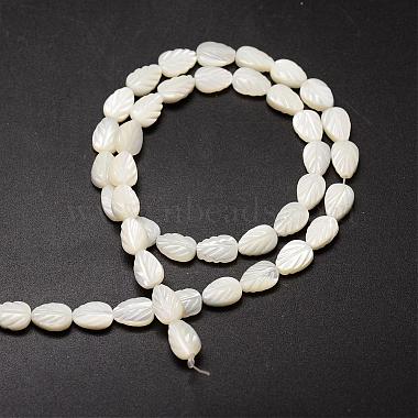 Natural Trochid Shell/Trochus Shell Beads Strands(SSHEL-K015-04)-2