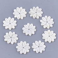 Carved Freshwater Shell Beads, Flower, Ivory, 20x19x2.5mm, Hole: 1.5mm(SHEL-T012-52)