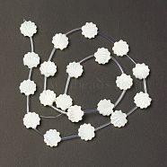 Natural Trochid Shell/Trochus Shell Beads, Shell, Creamy White, 12x12x3mm, Hole: 0.9mm, about 20pcs/strand, 18.90''(48cm)(BSHE-B005-05)