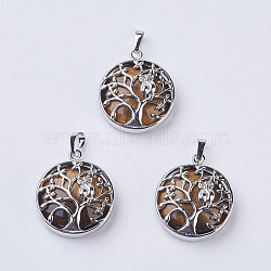 Natural Tiger Eye Pendants, with Brass Findings, Flat Round with Tree of Life, Platinum, 31~32x27x8~9mm, Hole: 5x7mm(G-K234-E04)
