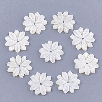 Carved Freshwater Shell Beads, Flower, Ivory, 20x19x2.5mm, Hole: 1.5mm
