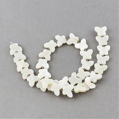14mm Ivory Butterfly Other Sea Shell Beads
