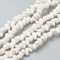 Natural Spiral Shell Beads Strands, Dyed, White, 5~6x4~5x3~3.5mm, Hole: 0.8~1mm, about 381~443pcs/strand, 35.83 inch~36.81  inch(91~93.5cm)(BSHE-I011-11C)