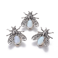 Opalite Brooches, with Alloy Findings, Cicada, Antique Silver, 38x36x8mm, Pin: 0.6mm(G-A176-D12-1)