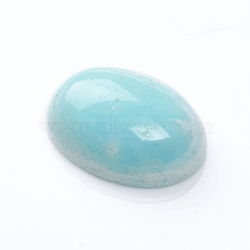 Natural Howlite Cabochons, Dyed & Heated, Oval, 18x13x6mm(G-F677-09-C)