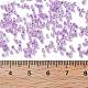 Transparent Inside Colours Glass Seed Beads(X1-SEED-H003-04E)-4