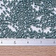 MIYUKI Delica Beads(X-SEED-J020-DB0264)-4