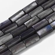 Natural Freshwater Shell Beads, Dyed, Column, Slate Gray, 10x4.5mm, Hole: 0.9mm, about 36pcs/Strand, 14.17 inch(36 cm)(SHEL-R047-01A)