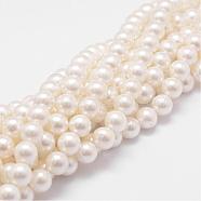 Rainbow Plated Shell Pearl Bead Strands, Grade A, Round, Old Lace, 8mm, Hole: 1mm, about 51pcs/strand, 16 inch(BSHE-L025-02-8mm)