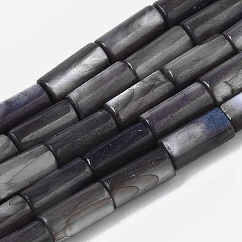 Natural Freshwater Shell Beads, Dyed, Column, Slate Gray, 10x4.5mm, Hole: 0.9mm, about 36pcs/Strand, 14.17 inch(36 cm)