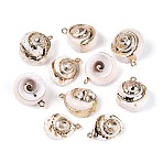 Electroplate Natural Sea Shell Pendants, Shell Shape Charms, with Iron Loops and Brass Findings, Golden, Seashell Color, 21~23x15~21x7~15mm, Hole: 1.6mm(SSHEL-T017-45)